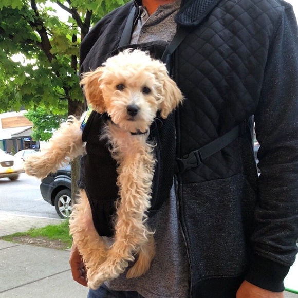 pawaboo dog backpack